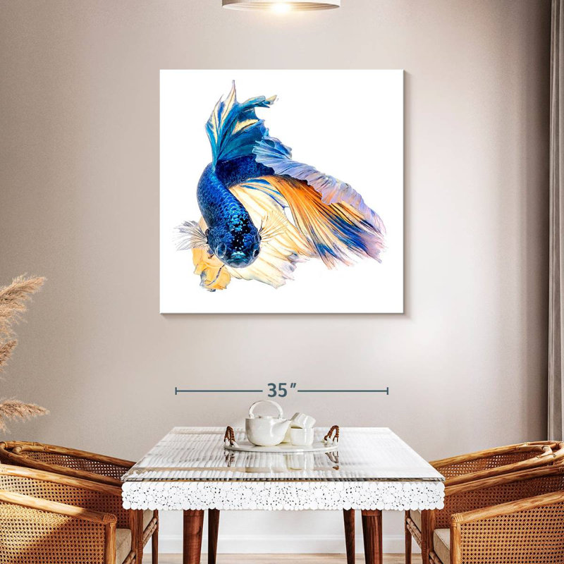 Crowle Halfmoon Betta, 39" H x 39" W