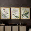 Antique Botanical Collection VII - Toile tendue avec châssis sur mesure - 3 pièces-1143620428-1143620418