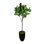 7 Faux Fiddle Leaf Fig Tree in Fiberstone Pot