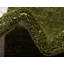 Area Rug-1896931639