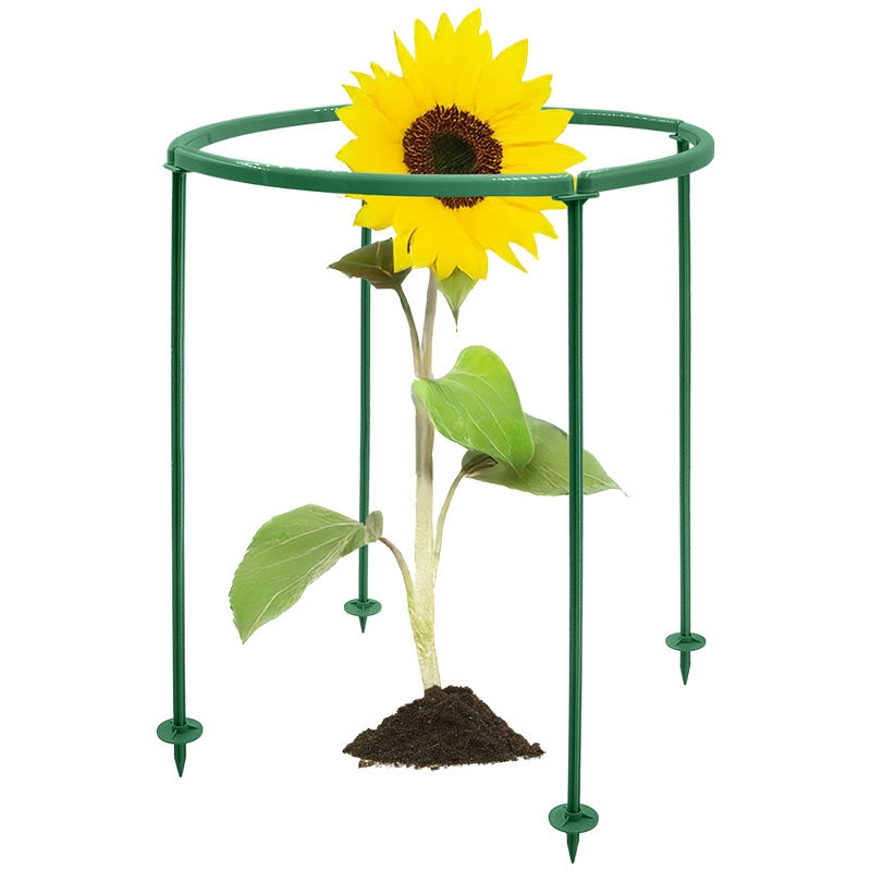 Gvantsa Plant Support