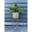 152.4cm Faux Fern Plant in Pot Liner
