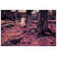 Vincent Van Gogh - Wrapped Canvas Painting-70708101