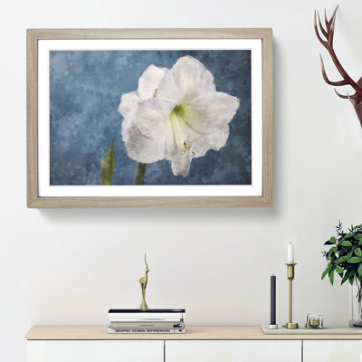 White Amaryllis Flower - Picture Frame Painting Print