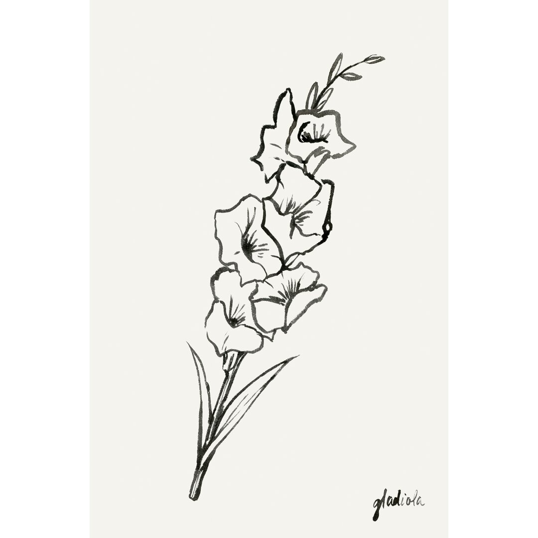 Leinwandbild Gladiola Sketch II von Grace Popp