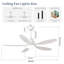 Ceiling Fan with Light Kit
