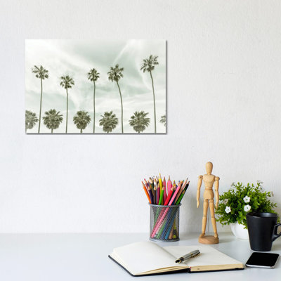 La Jolla Vintage Palm Trees by Melanie Viola - Wrapped Canvas Print