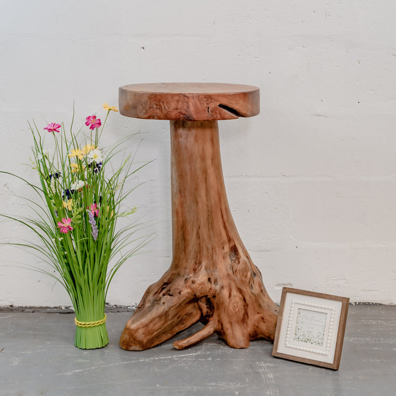 Burruss Solid Wood Tree Stump End Table
