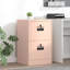 Storage Cabinet-131504596