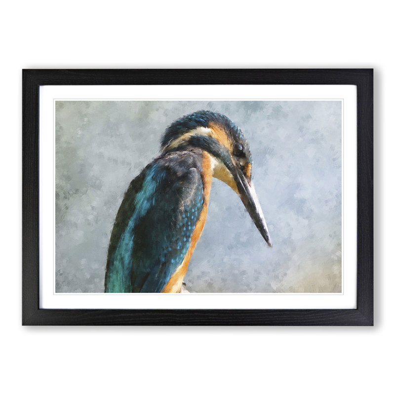 Kingfisher Bird Vol.1 - Framed Print, 48cm H x 65cm W x 2cm D, Black Framed