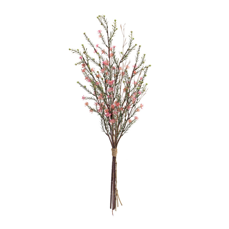 Leptospermum Steam