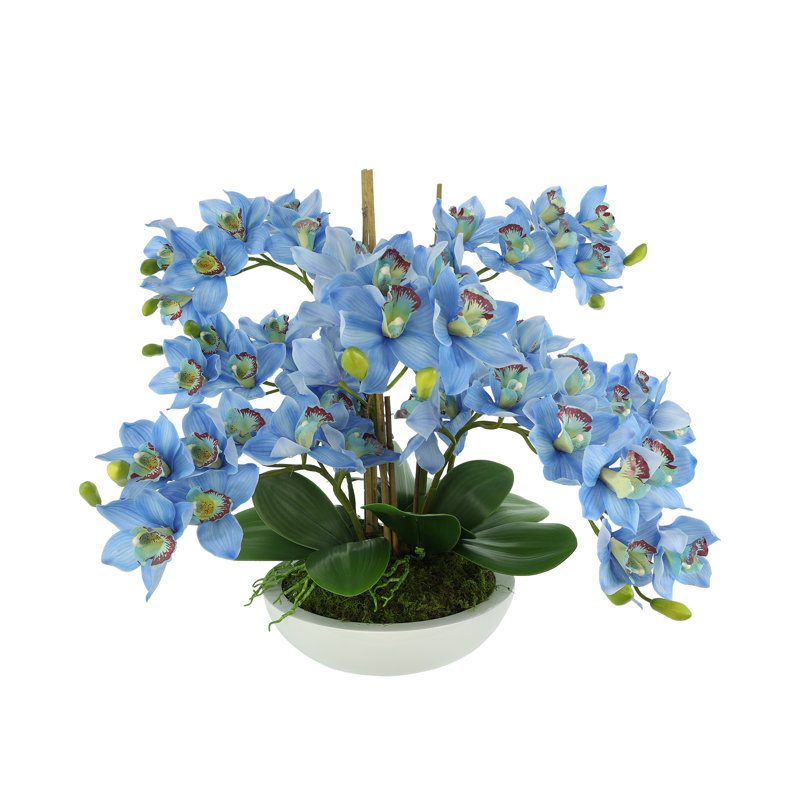 Orchids Arranged in Fiberstone Planter, Blue