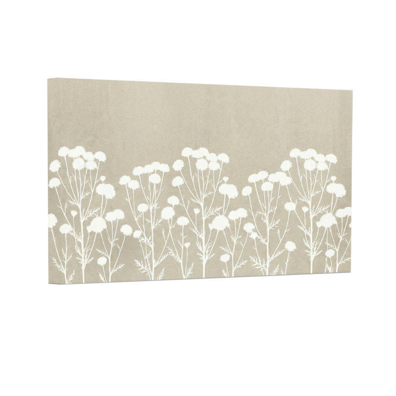 Plantes et fleurs Fleurs blanches sur fond beige, H 20 po x l 30 po