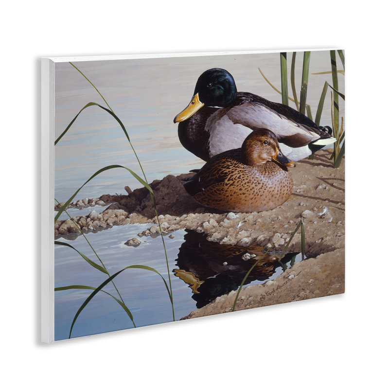 Two Ducks Water's Edge Wall Plaque Art by Rod Lawrence