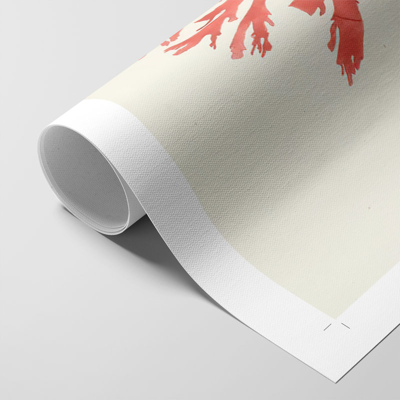 Étude de corail rétro - impression sur toile seulement - non encadrée, H 18 po x l 12 po