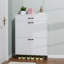 Black Glass Door Shoe Cabinet With RGB Light-1892686090