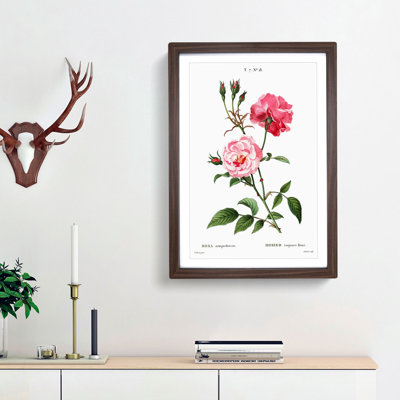 Ever-blowing Pink Roses by Pierre-Joseph Redoute - Picture Frame Painting Print
