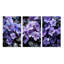 «Violets Whispering Photo», 3 pièces sur toile-1241292719-1241292718