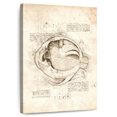 Keiri Human Eye Anatomy
