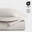 Ensemble de couvre-lit en coton côtelé matelassé-124298058-105905597
