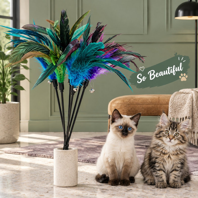 Les chats d'intérieur obtiennent 8 pièces de baguettes de plumes interactives dans cet ensemble.