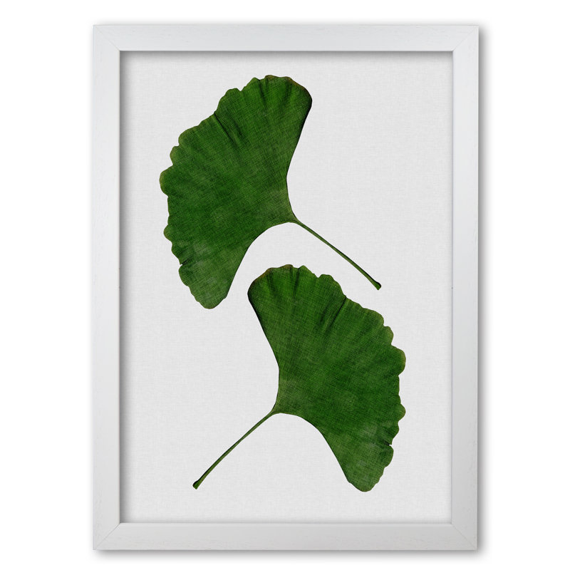 Ginkgo Leaf II - Print, 42 cm H x 30 cm W x 5 cm D, White Grain Frame