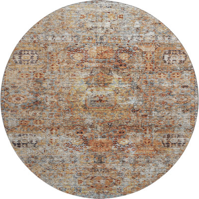 Premium Machine Washable Ducote AMF1143 Global Rug