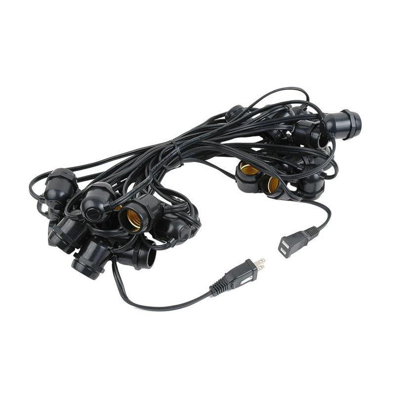 Guirlande de 25 lumières d'extérieur standard 37,5 pi Darius, Pas d'ampoule, Noir
