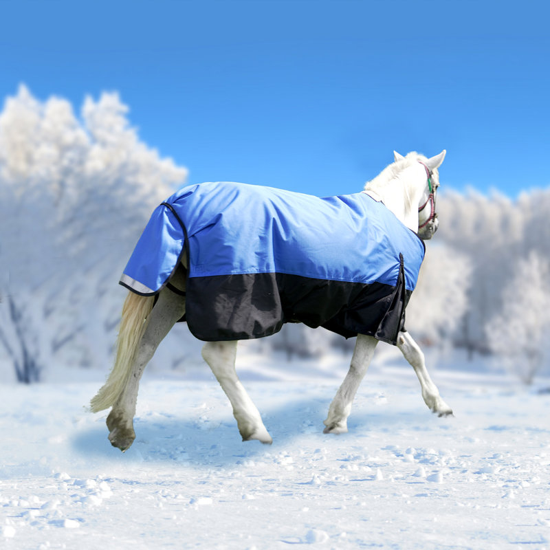 Couverture de cheval pour les vrais chevaux, couverture imperméable et stable pour l'hiver, durable et chaude