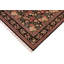 Paavan Wool Oriental Indoor Rug