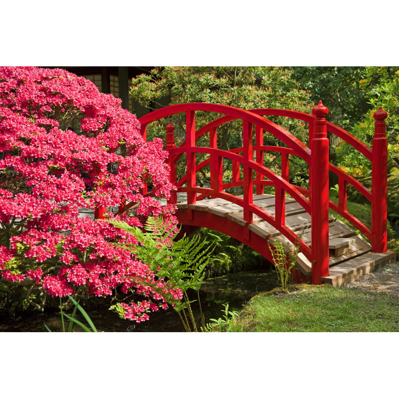 Jardin japonais par Lya_Cattel, H 32 po x l 48 po