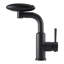 Belfry Kitchen Pull Out Kitchen Faucet