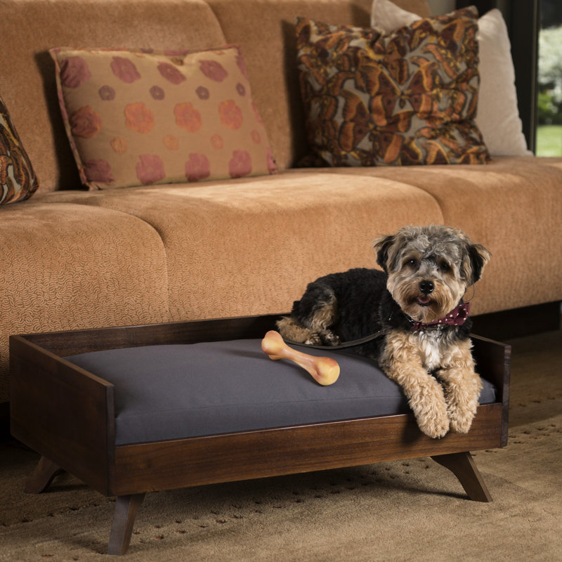 Chien en bois massif, thème Mid-Century, structure, coussin gris foncé, housse d'eau, 17,8 po de profondeur, matelas, matelas de haute qualité, 30,3 po de largeur