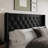 Gretna Tufted Upholstered Velvet Headboard-133199799-133199798