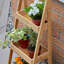 Balhar Plant Stand