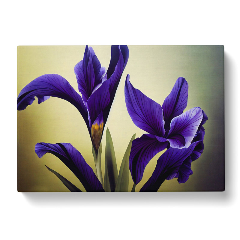 Picturesque Iris Flowers - Wrapped Canvas, 50cm H x 76cm W x 3cm D