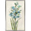 «Farm Flower IV Light» par Silvia Vassileva - peinture-65864232-65864229