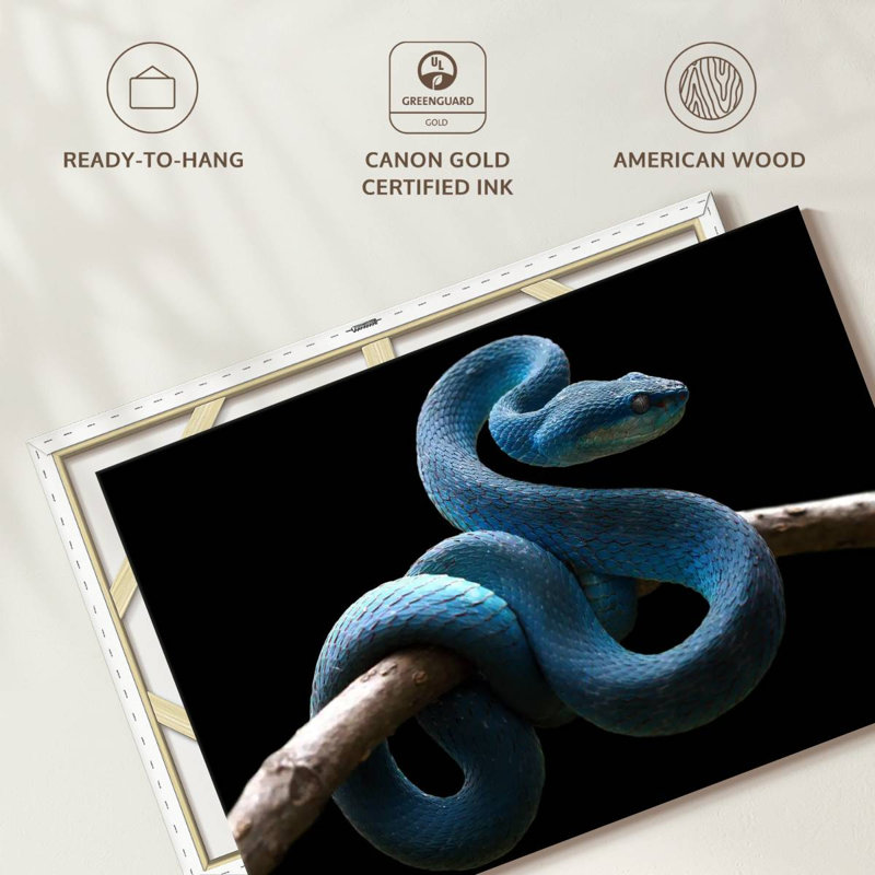 Brampt Blue Viper Snake, 8" H x 12" W