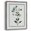 Shabby Elegance Botanical II, reproduction encadrée - bois massif 46720-1705768235