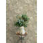 Papier peint Holt Sage Woodland-1682513511