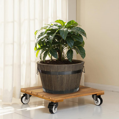 Plant Stand