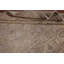 Distressed Wool Traditional Area Rug 6x10