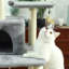 Arbre à chat 60 po recouvert de sisal Lockley-703293125