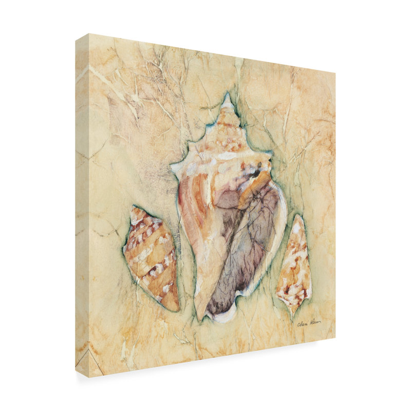 Art sur toile «bolologi Cheri Blum Shells III», H 14 po x l 14 po