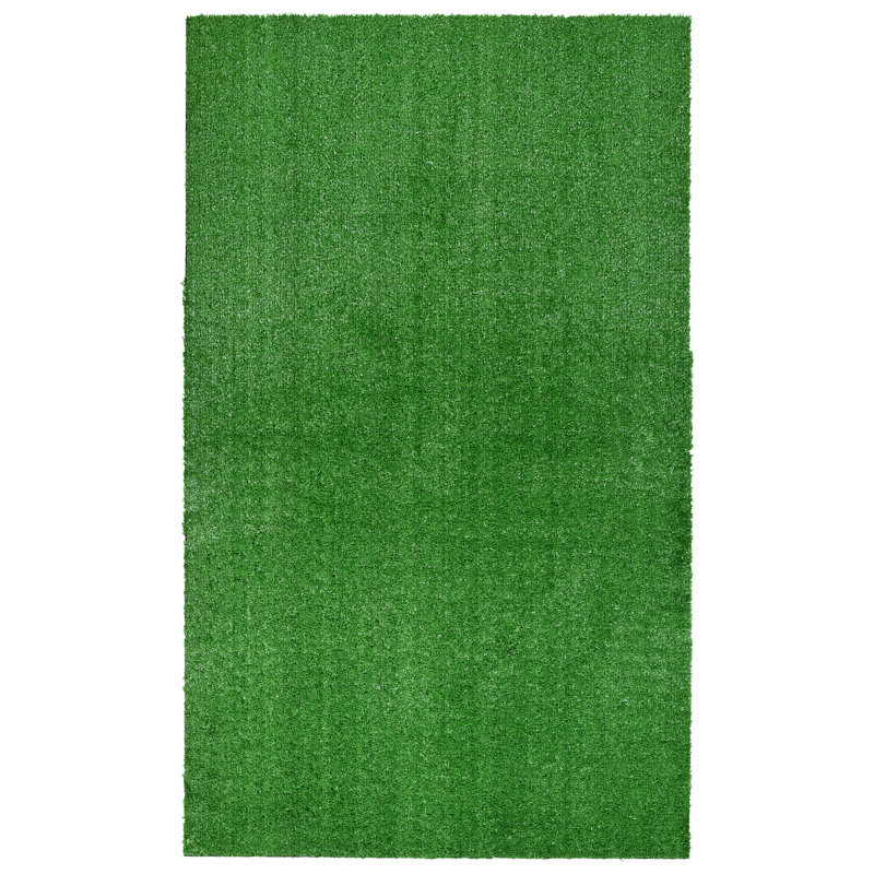 Ashkhen Indoor / Outdoor Rug, Rectangle 3' x 5'