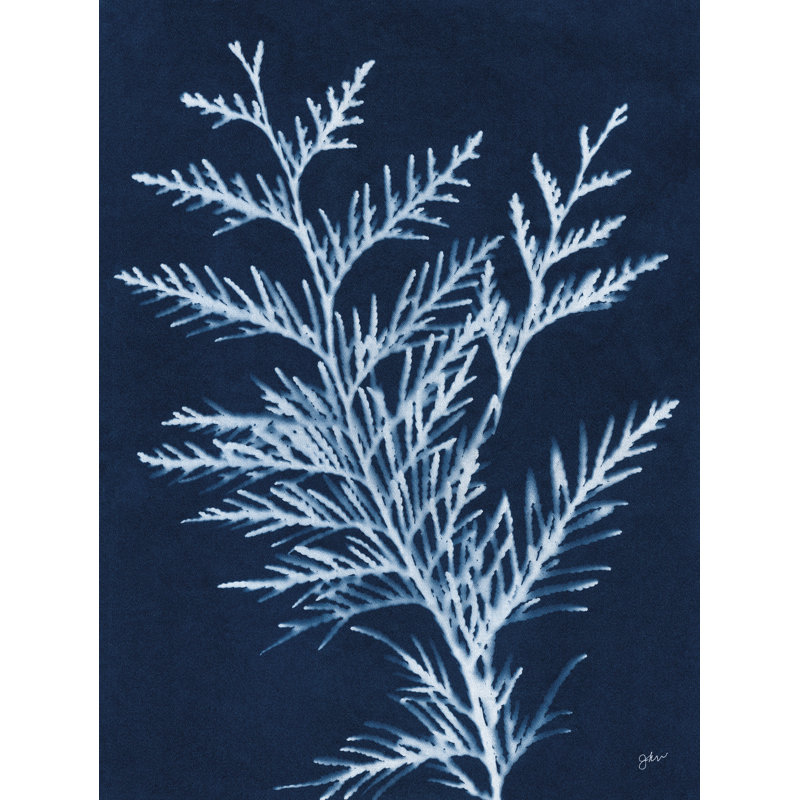 Indigo Evergreen par Julie Norkus, Canevas, Pas de tapis, H 16 po x l 12 po