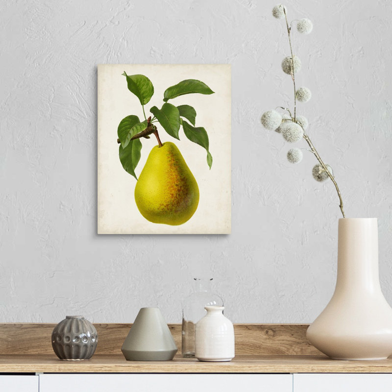 Antique Fruit VII - reproduction d'art sur toile, Toile tendue, H 14 po x l 11 po x P 1,25 po