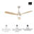 Auravista 52 In. Indoor Oak Blades Ceiling Fan Chrome Housing With LED Light Bulbs And Remote Control-108487575