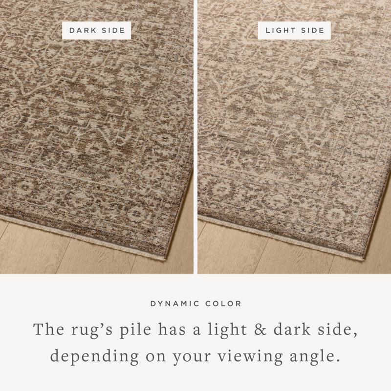 Bungalow Rose Allysan Dark Taupe / Natural Area Rug, Rectangle 3'11" x 5'7"