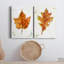 " Autumn Leaf Study I " 2 - Pieces-1052592101